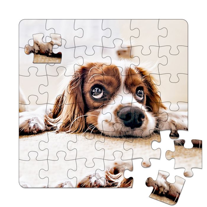 Puzzle photo plastique 36 pièces