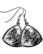 Boucles d'oreilles photo triangles arrondis - OFF