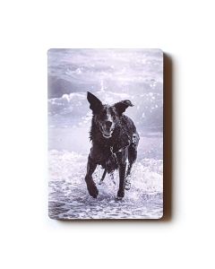 magnet photo personnalisé rectangle