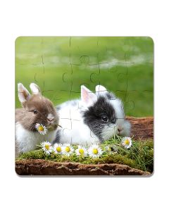 Puzzle photo plastique 25 pièces